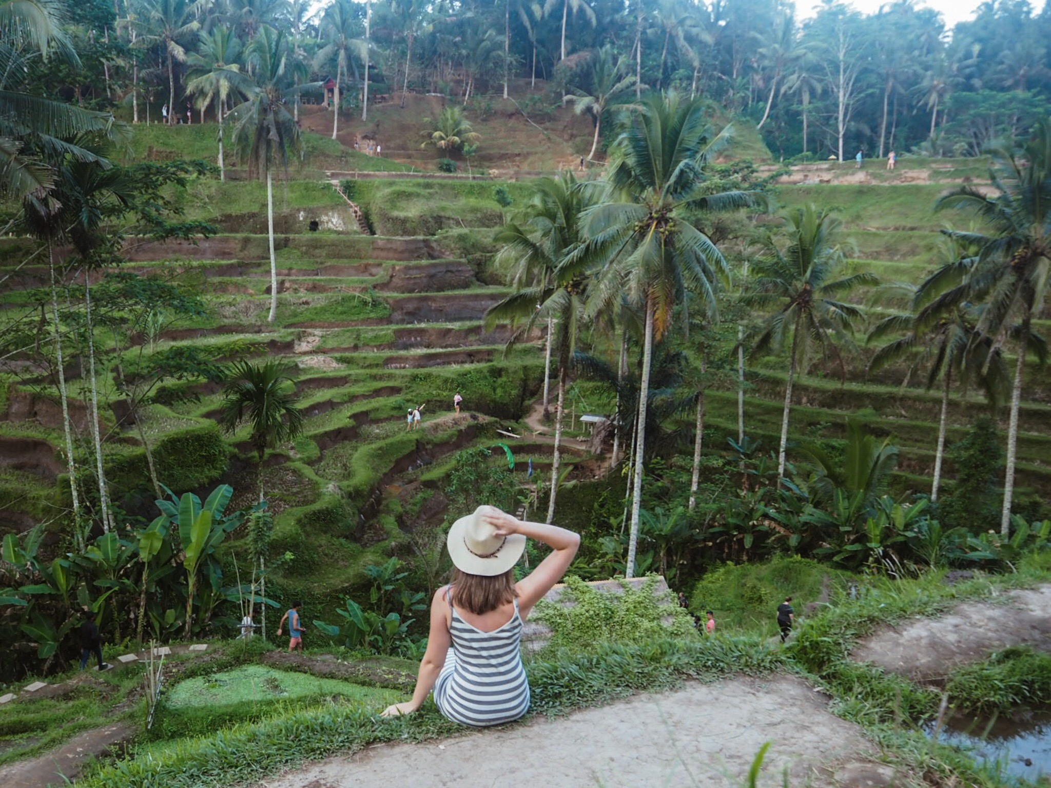 bali travel itinerary ideas - Ubud