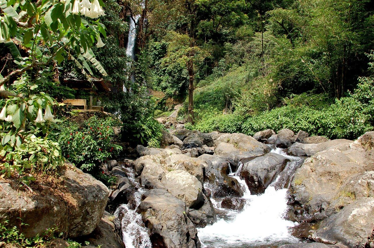 Things to see in Ubud waterfalls