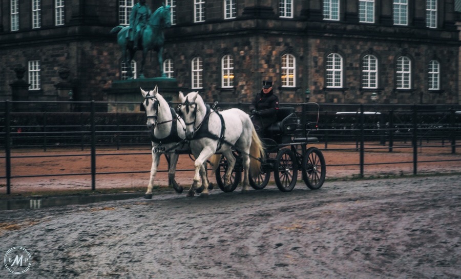 copenhagen palace - Christiansborg palace, Royal Stables