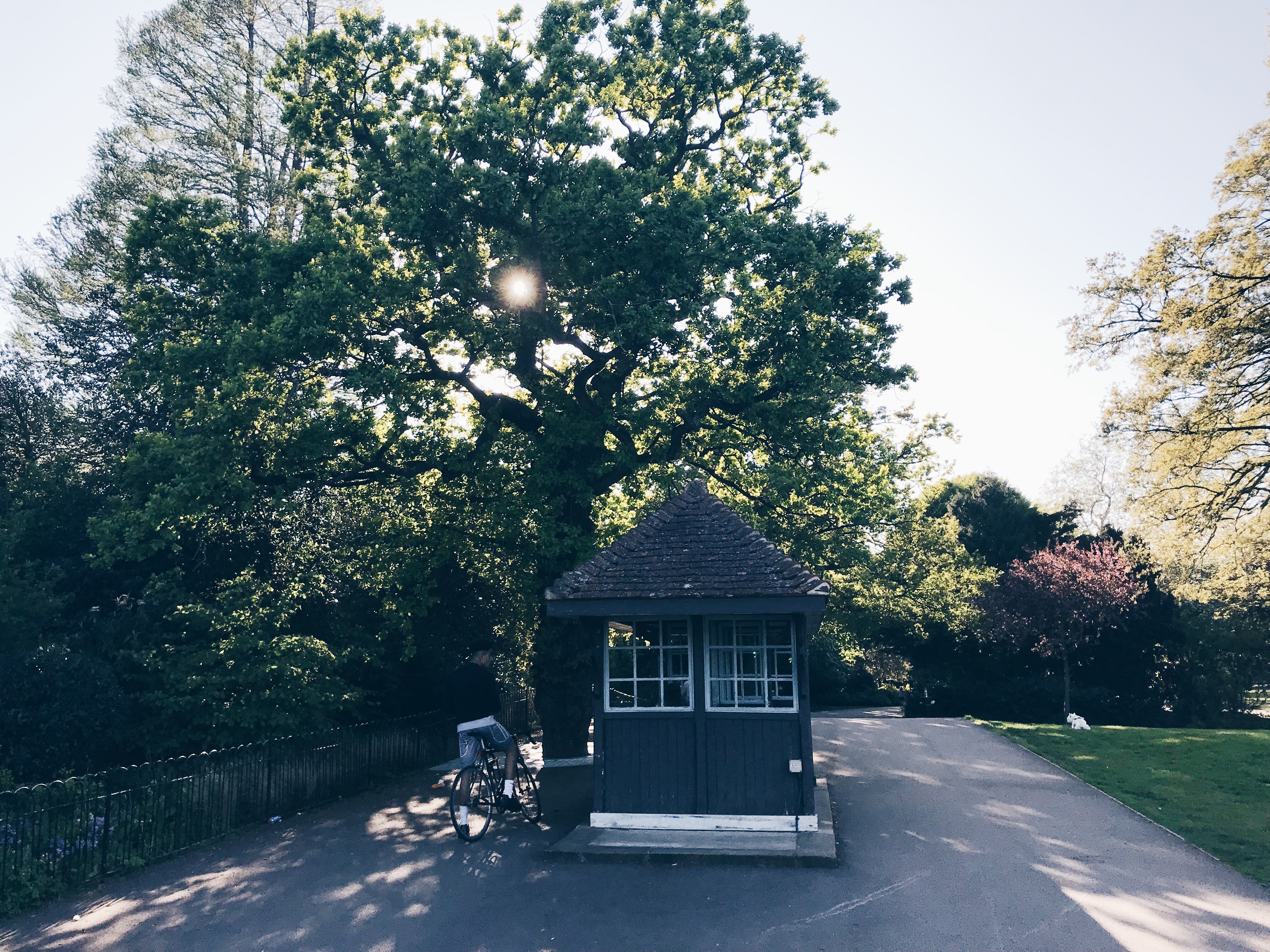 Dulwich Park