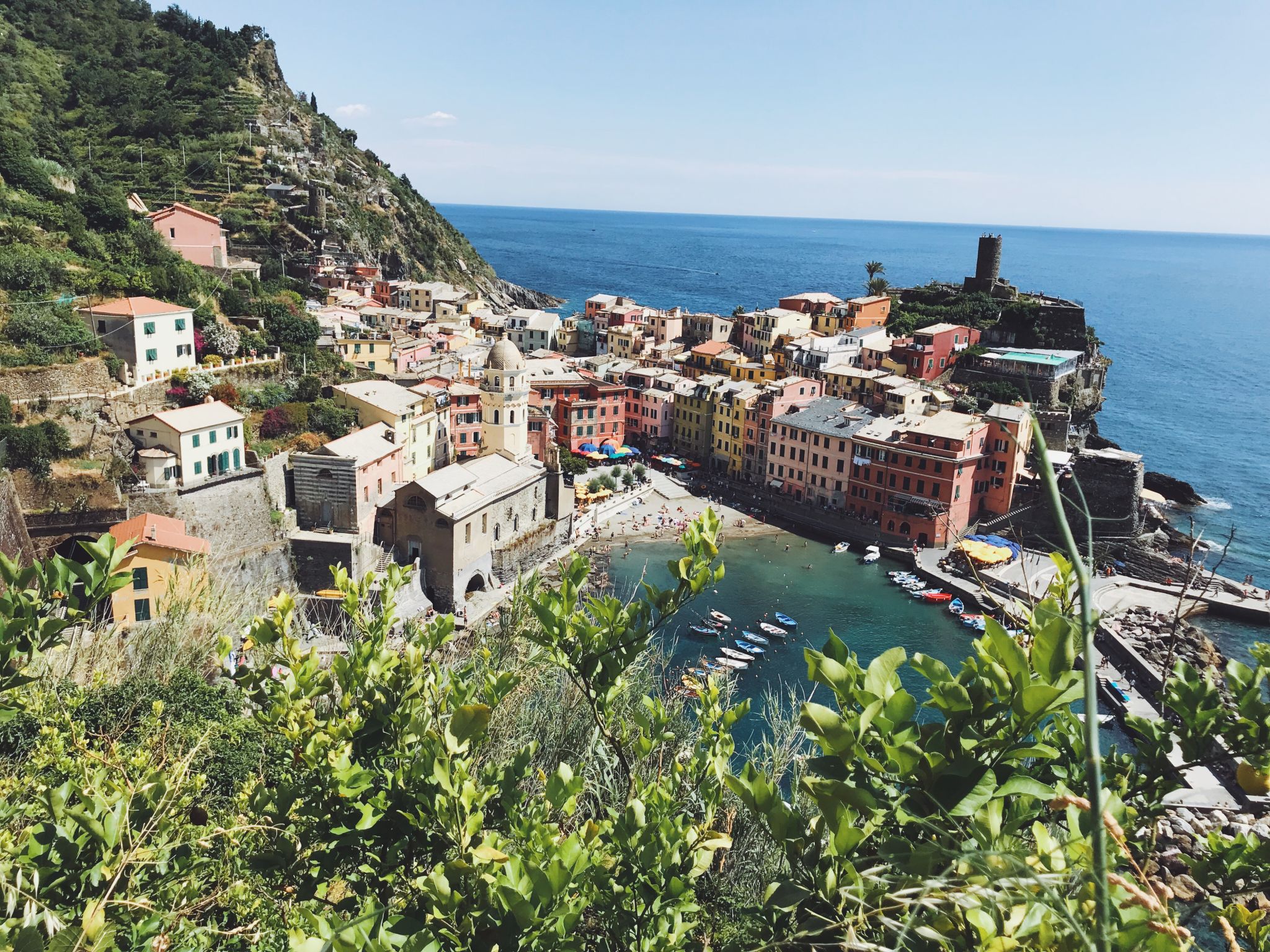 cinque terre trail, vernazza viewpoint 