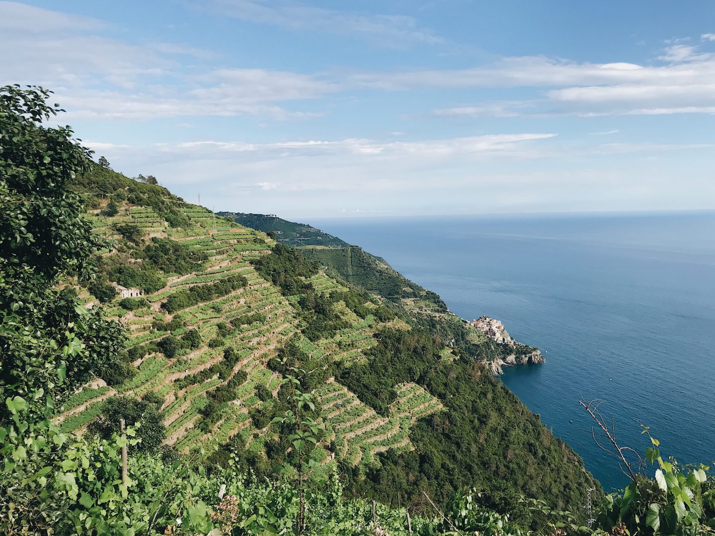 Cinque Terre Hike