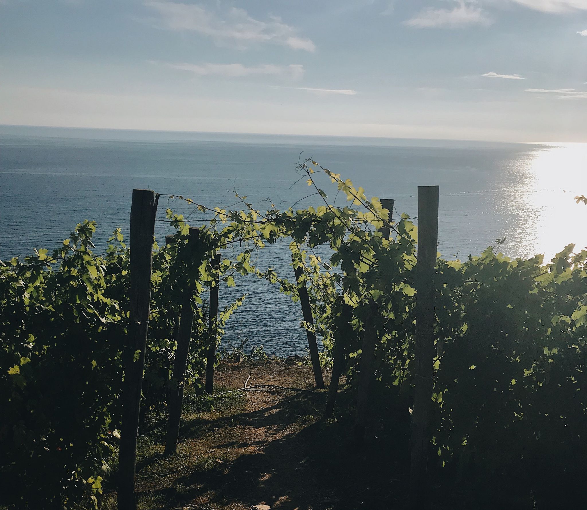 Hiking in cinque Terre 