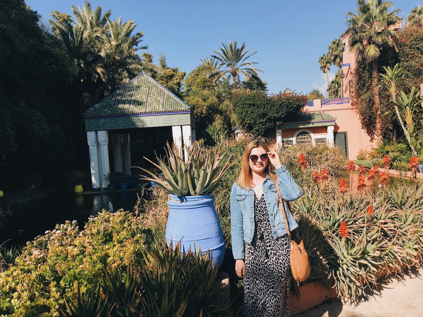 Majorelle Gardens Marrakech (cities to visit in Morocco)