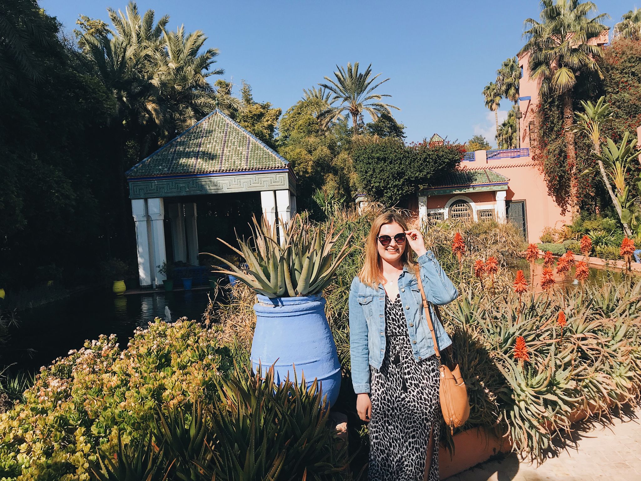 Majorelle Gardens Marrakech (cities to visit in Morocco)