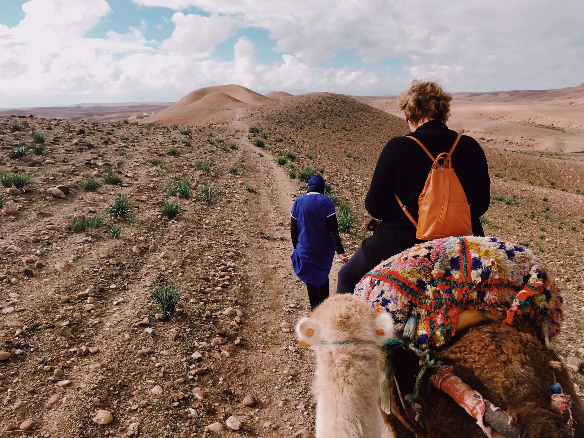 Agafay Desert Day Trip