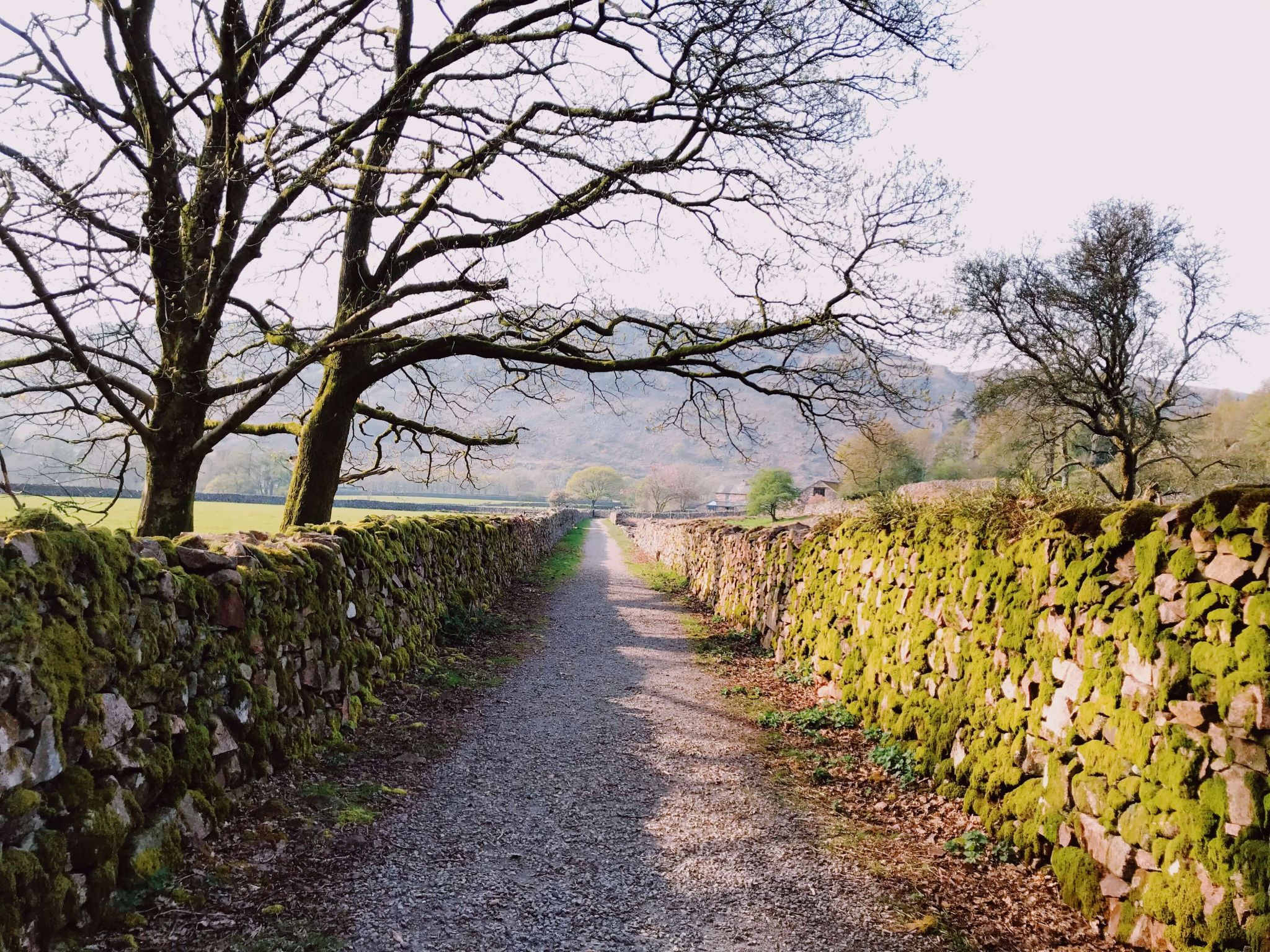 Eskdale Lake district: 