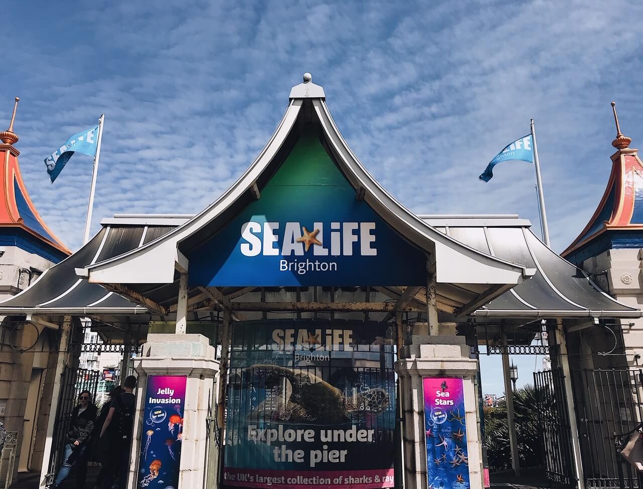 Sea Life Brighton Aquarium