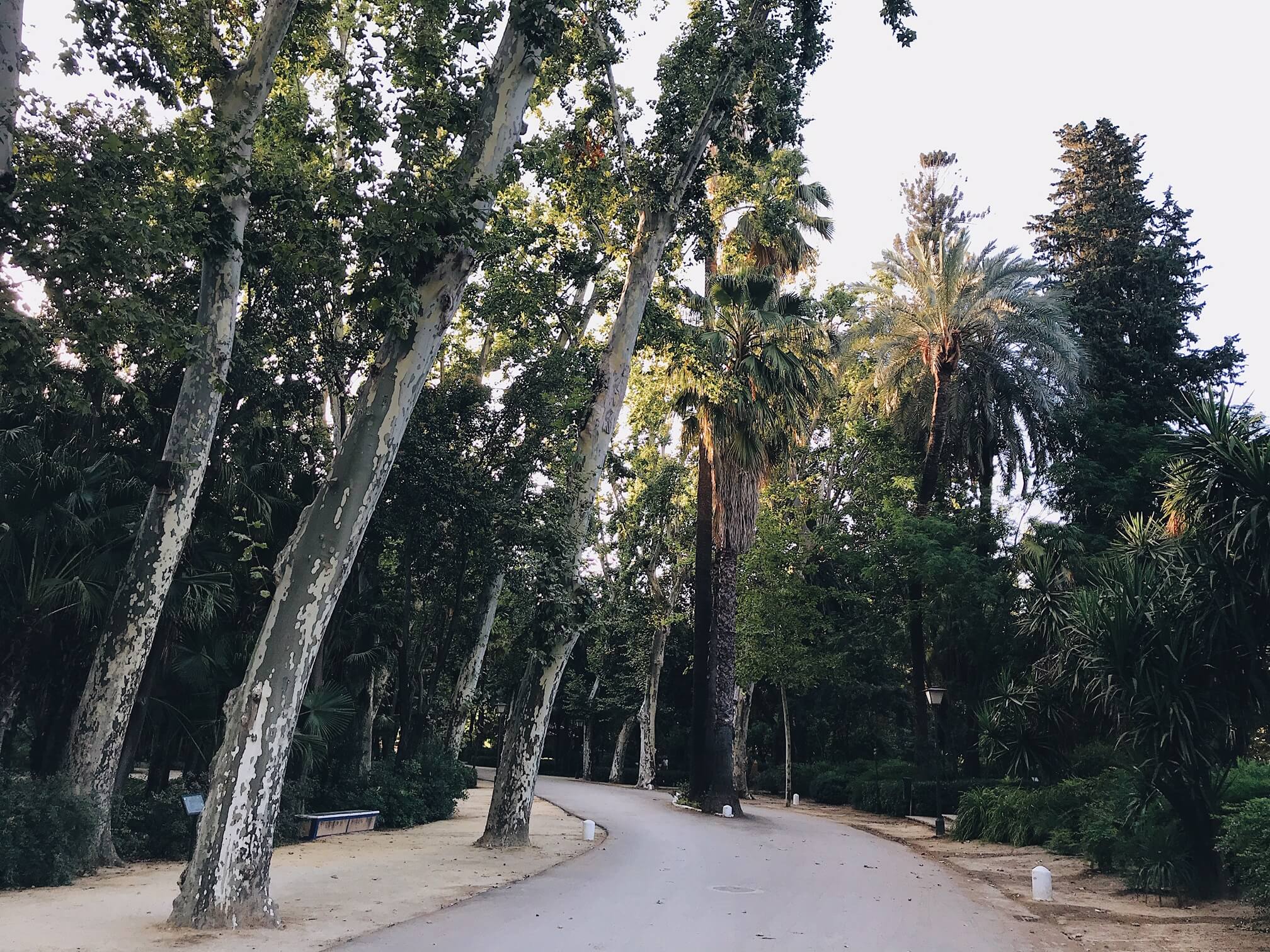 Seville attractions Maria Luisa Park