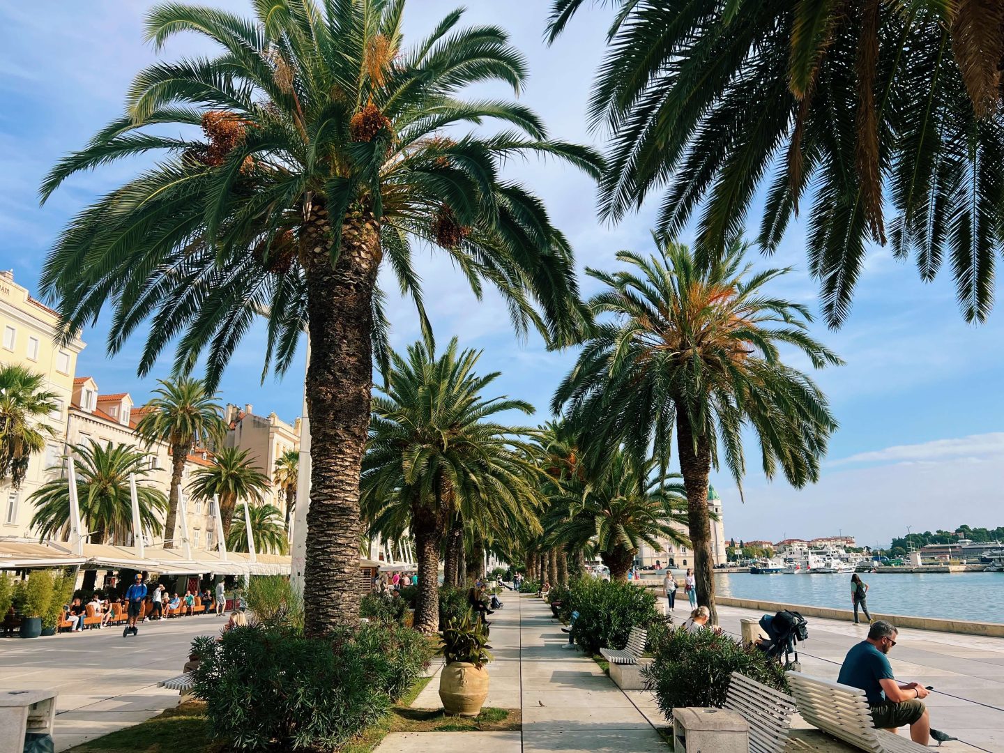 Split Riva Promenade