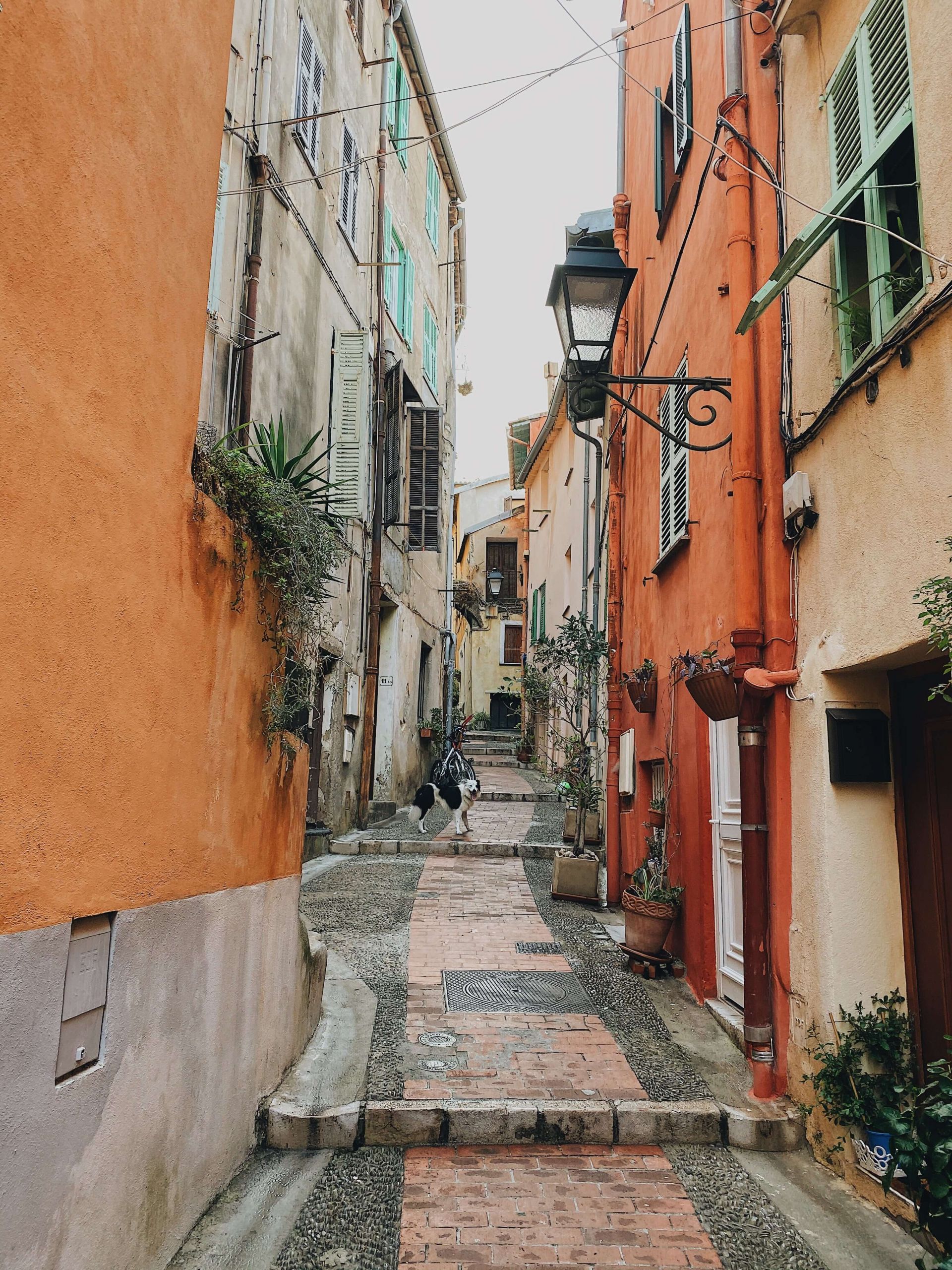 Top Things To Do In Menton France Earth's Magical Places