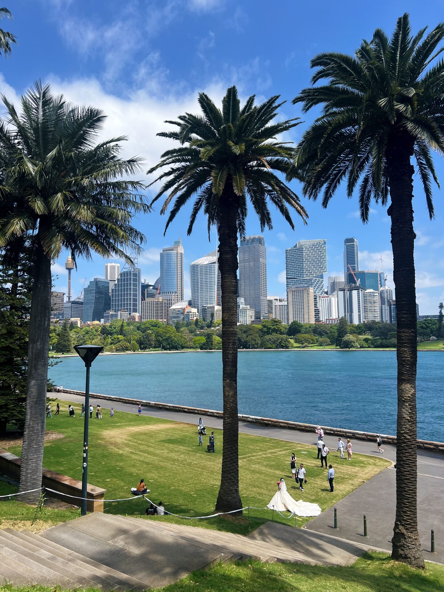 Royal Botanical Gardens Sydney