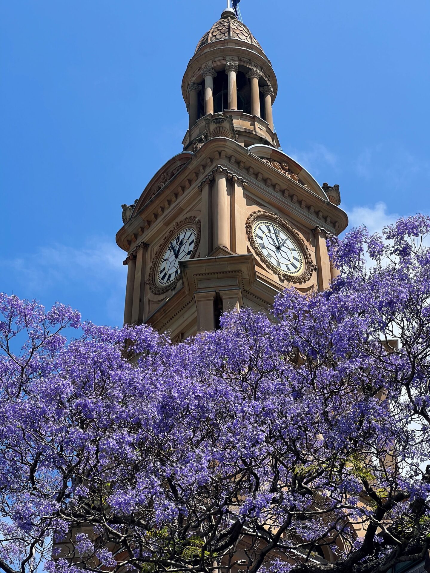 Sydney Town Hall