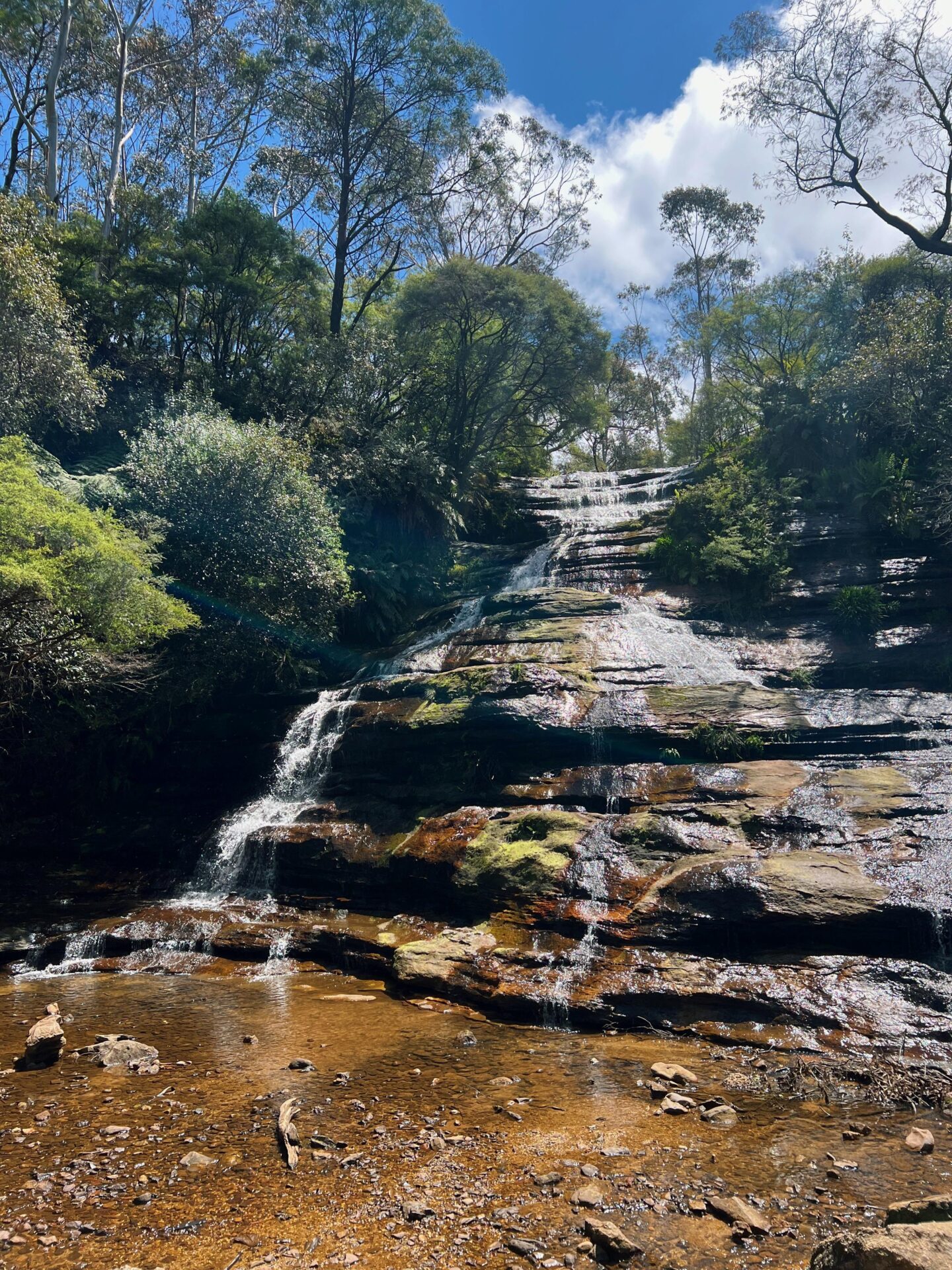 Things to do in Sydney Blue Mountains