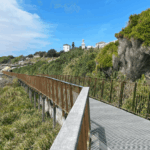 bondi to coogee coastal walk