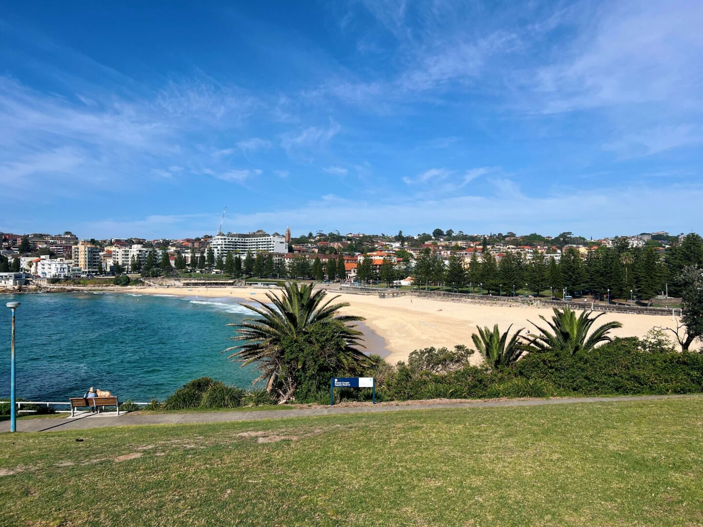 bondi to coogee coastal walk