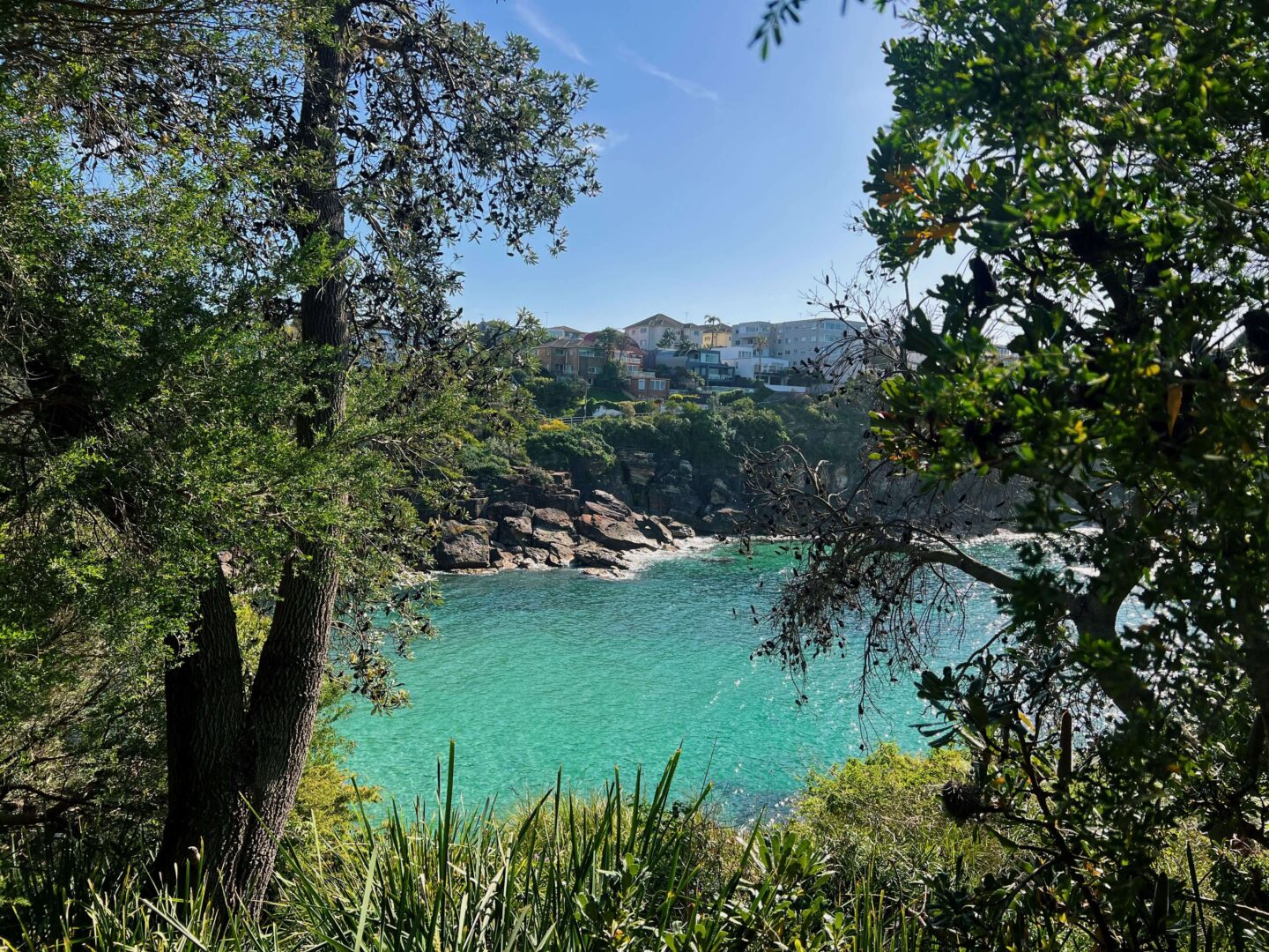 coogee to bondi coastal walk