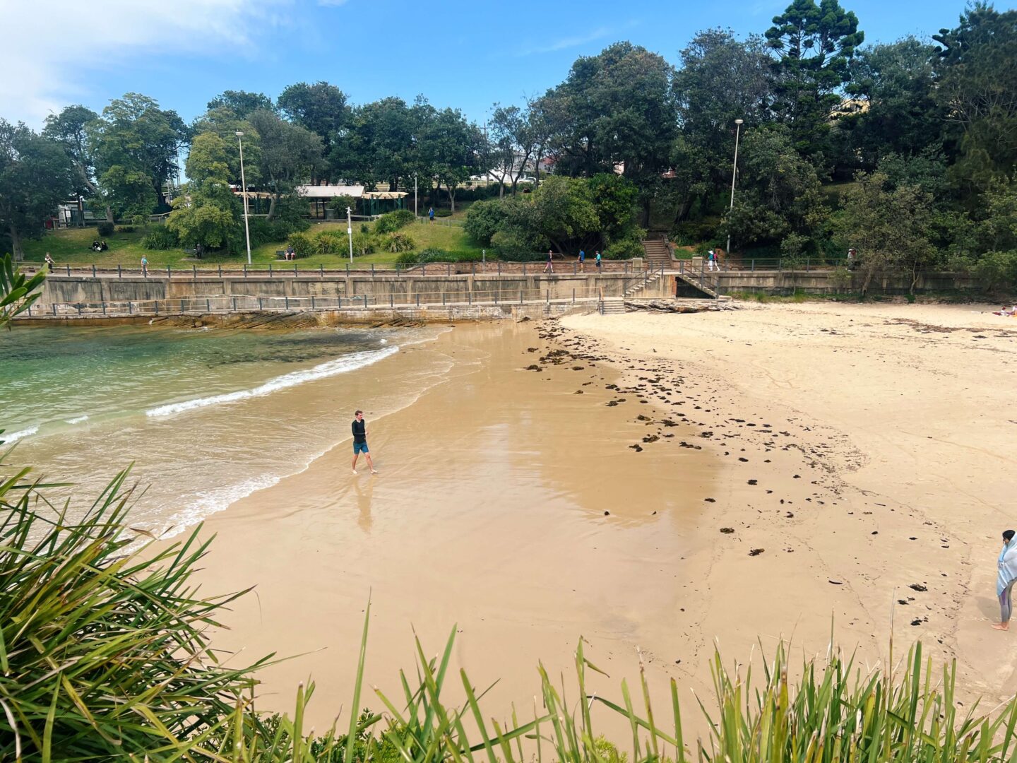 Clovelly Beach - bondi to coogee beach coastal walk